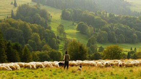 Start Your Own Farm Business Image